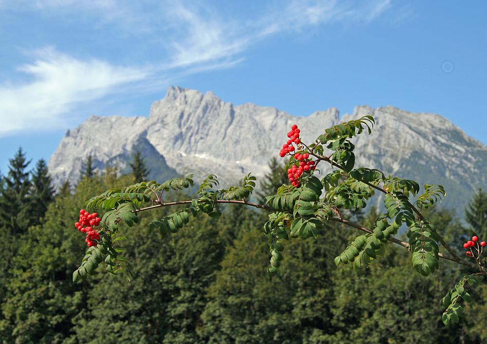 Berg der Versuchung II