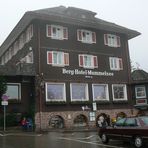 Berg Hotel Mummelsee