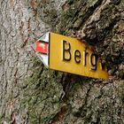 Berg im Baum