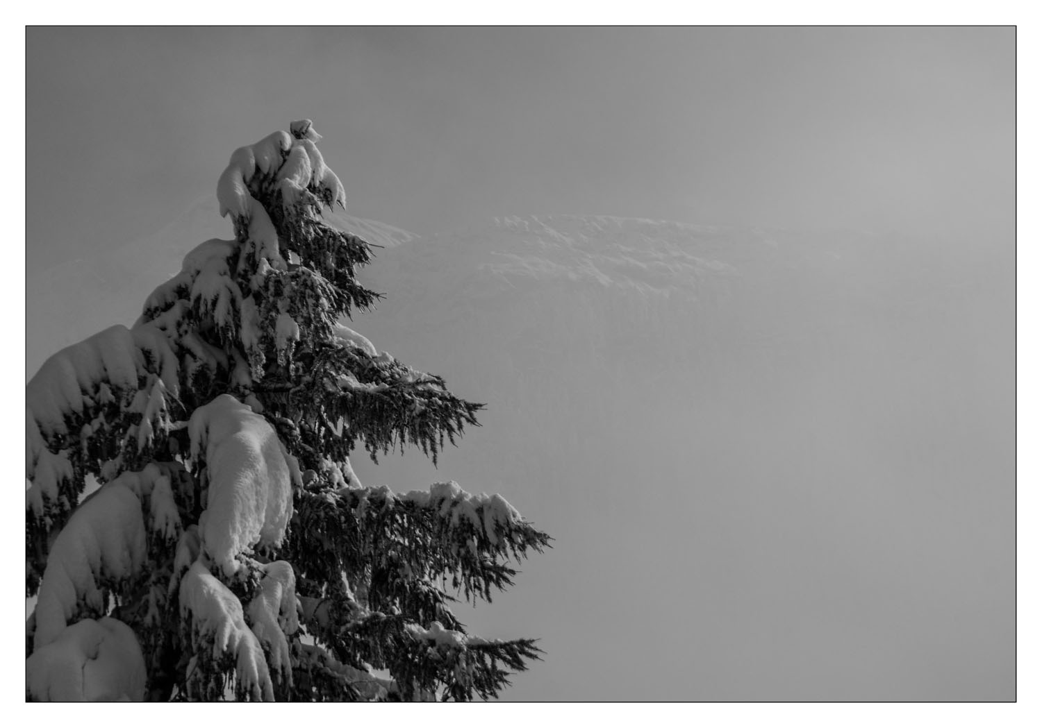 Berg im Gegenlichtnebel