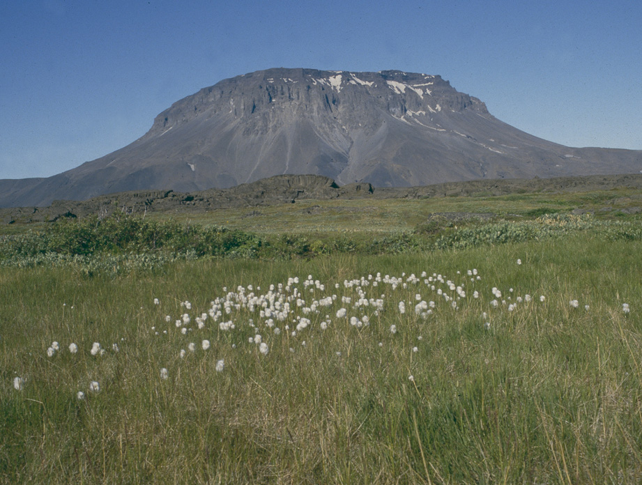 Berg im Hochland