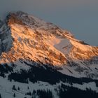 Berg in der Abendsonne