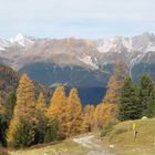 Berg in der Schweiz