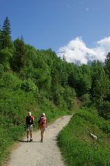 Berg Lake Trail # 1