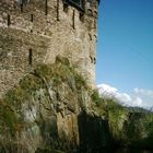 Berg on the Rhein