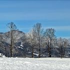 Berg-Panorama