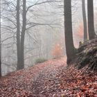 Berg-Pfad im Eifelgebirge