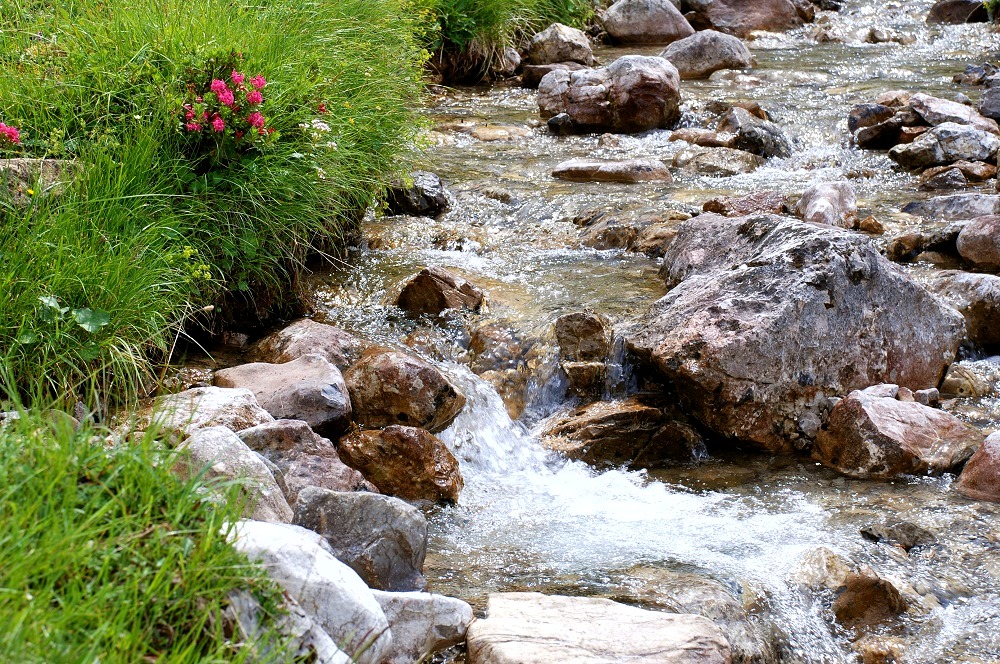 Berg-Quellwasser