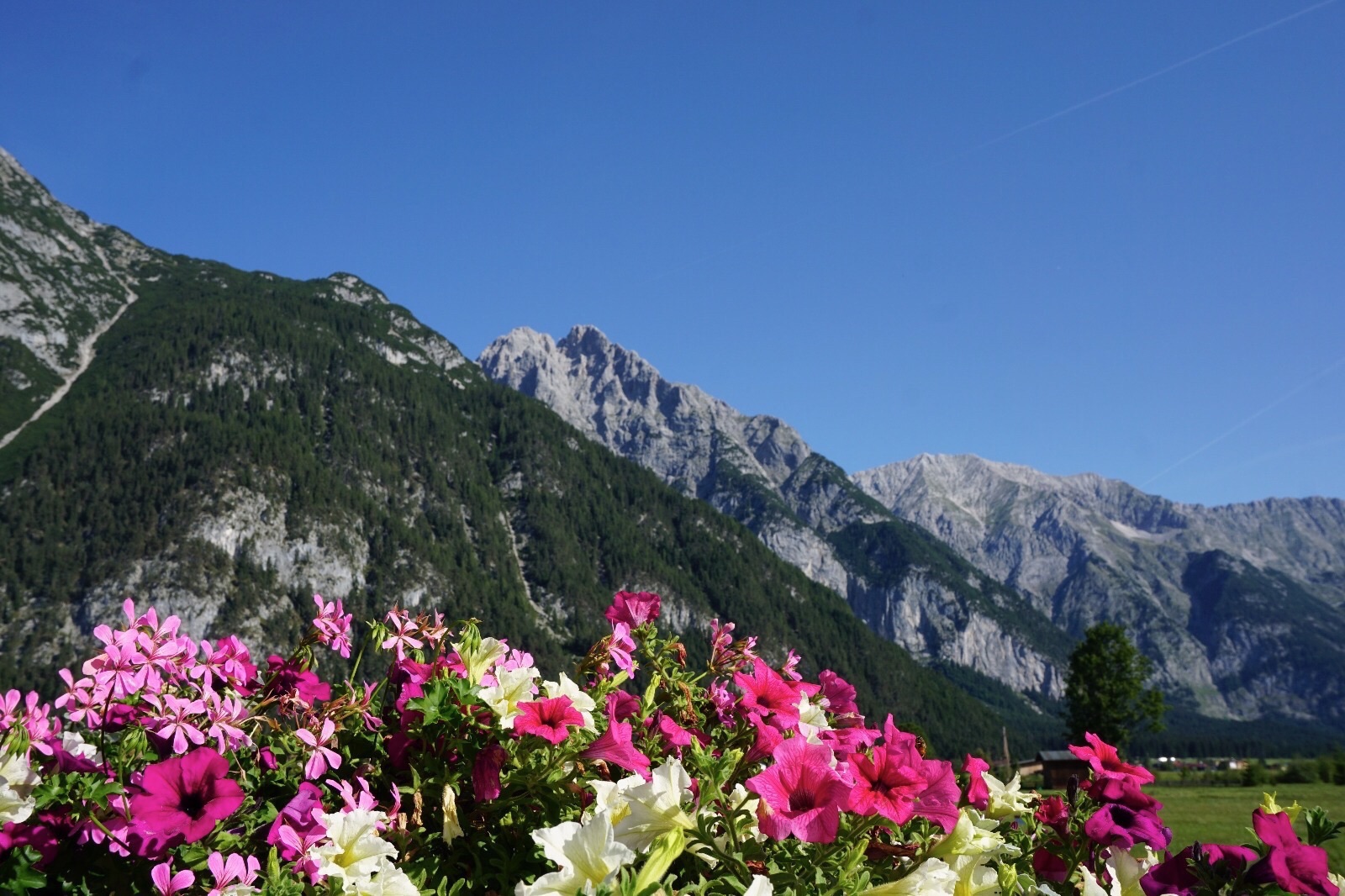 Berg-Sommer-Idylle