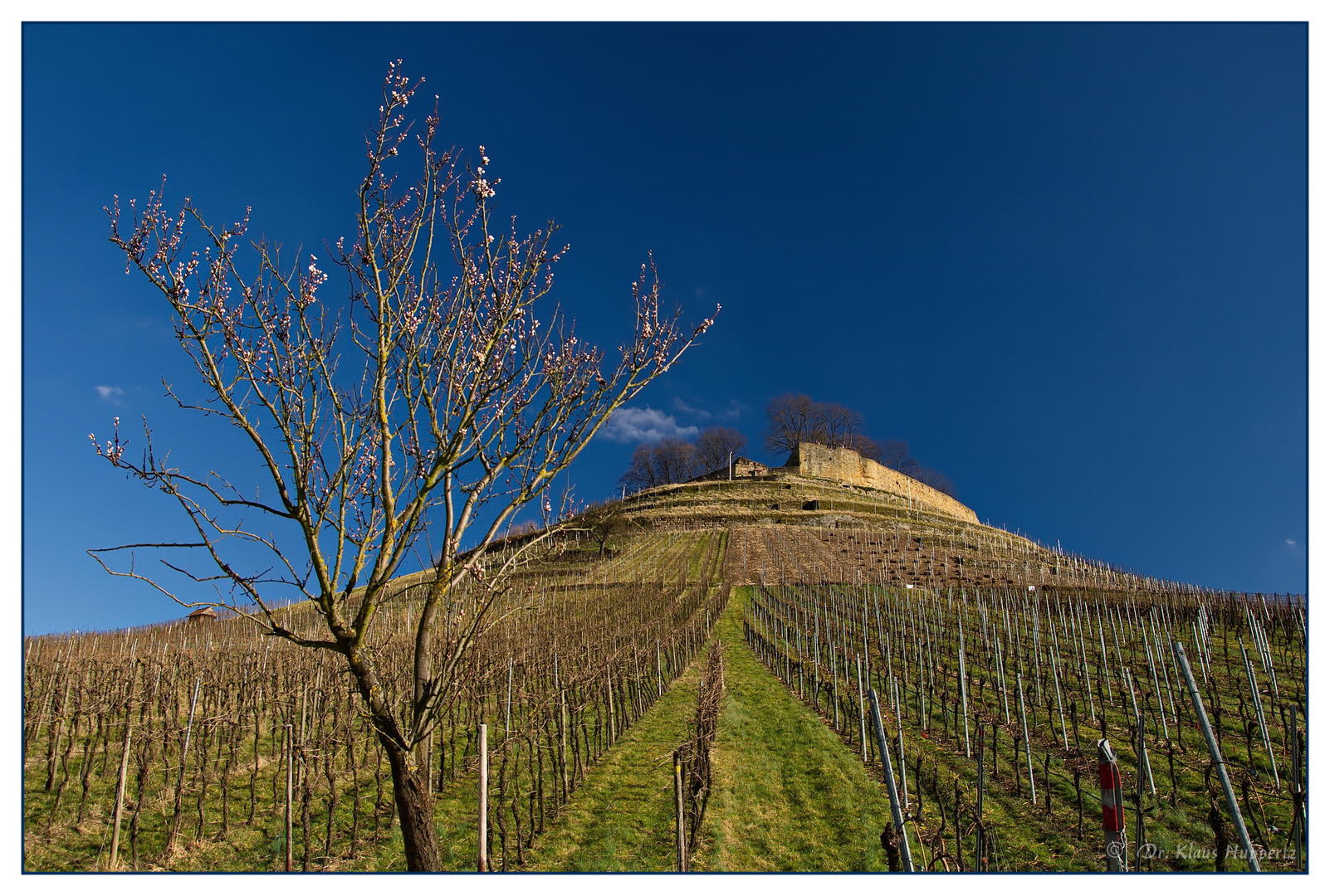 Berg und Burg "Weibertreu" bei Weinsberg #1