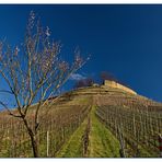 Berg und Burg "Weibertreu" bei Weinsberg #1