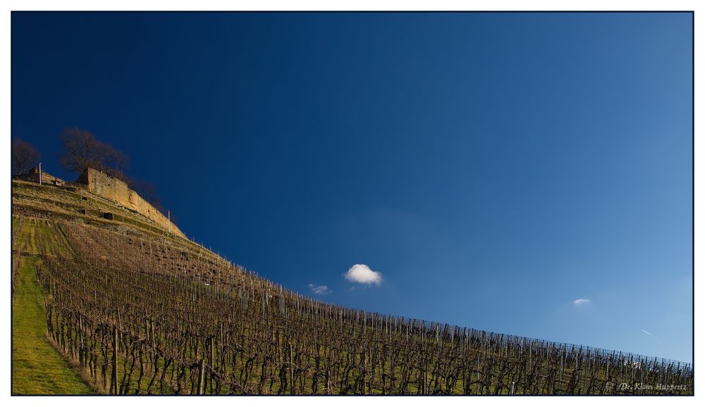 Berg und Burg "Weibertreu" bei Weinsberg #2