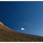 Berg und Burg "Weibertreu" bei Weinsberg #2