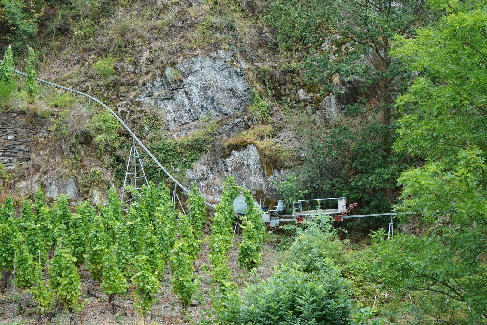 Berg- und Talbahn in Mayschoß unter der Ruine Saffenburg