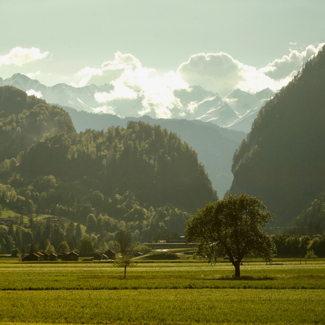 Berg- und Talfrühling