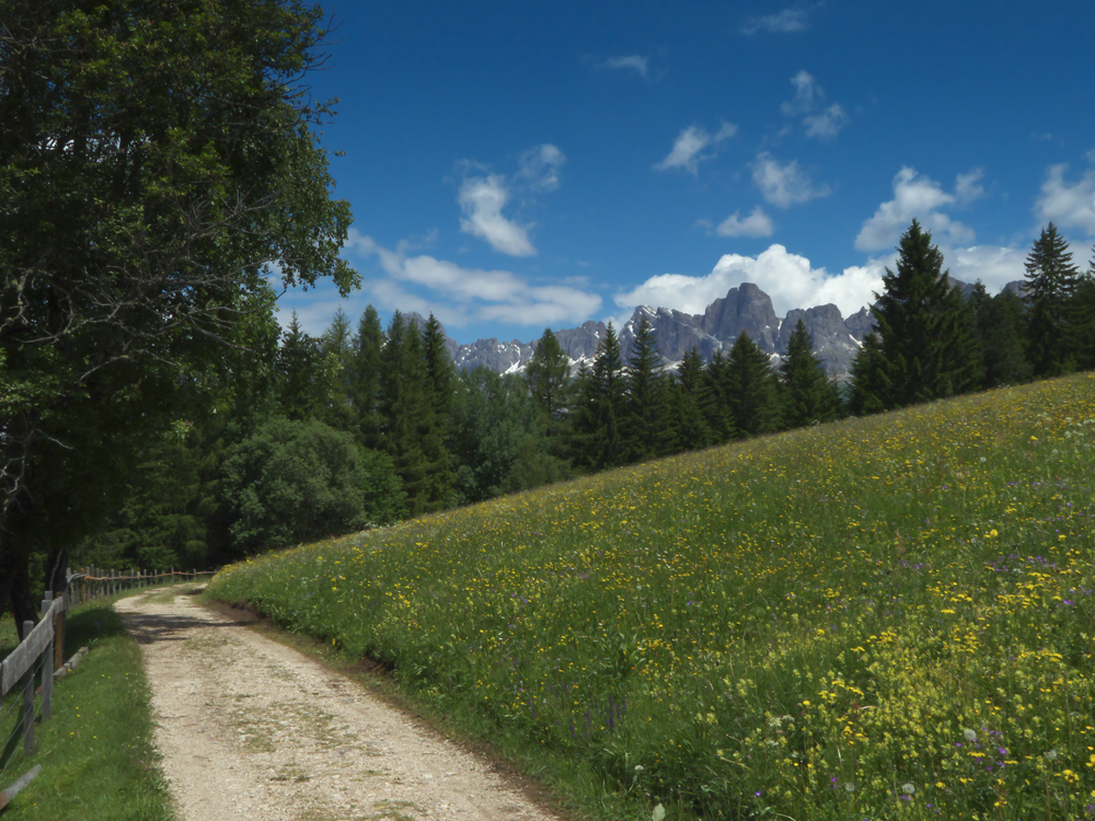 Berg-und Wiesenidyll