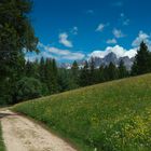 Berg-und Wiesenidyll