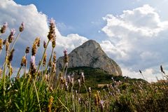 Berg unter Blumen