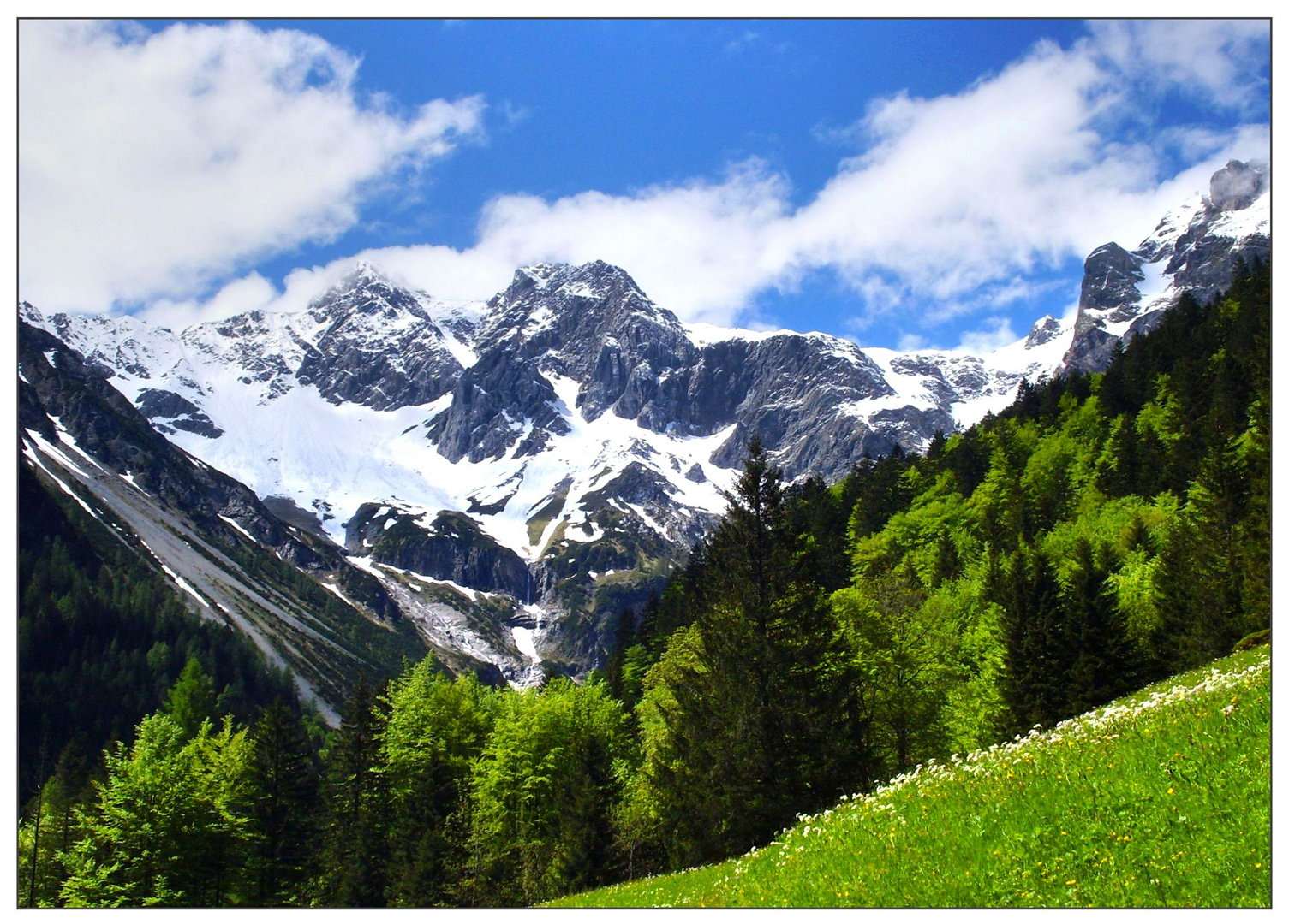 Berg, Wald und Wiese