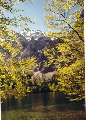 Berg, Wasser, Baum...