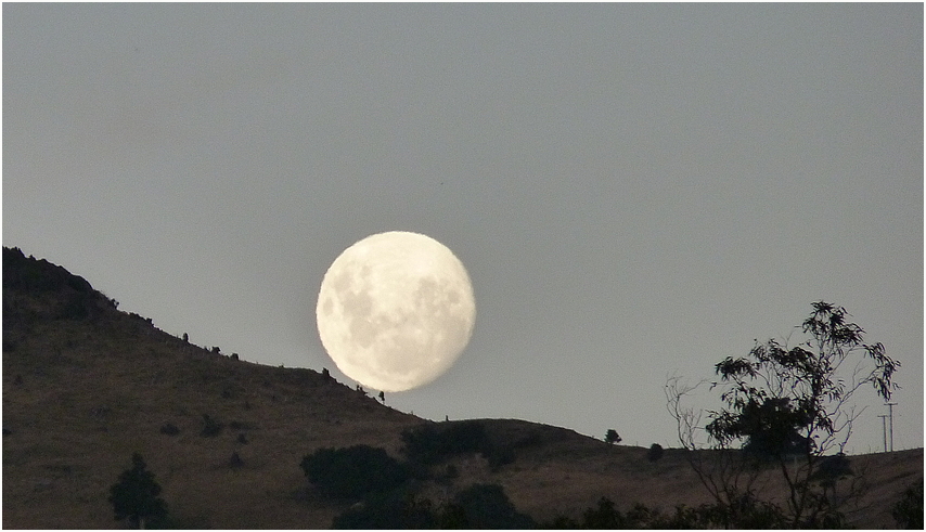 Bergab in Akaroa NZ