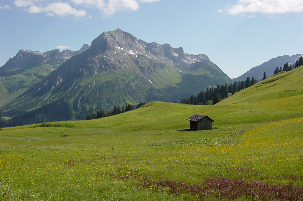 Bergalm im Allgäu