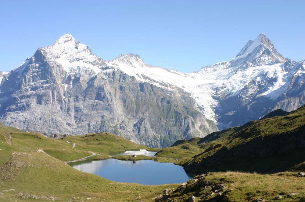 Bergalpsee vor Wetter- und Schreckhorn