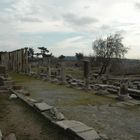 BERGAMA 1