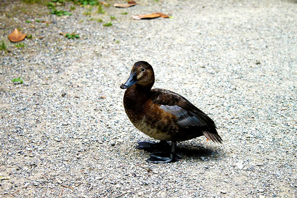 Bergamo Parco Marenzi 2