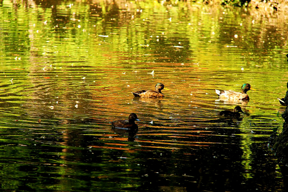 Bergamo Parco Marenzi 3