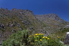 Bergansicht am Bain´s Kloof Pass in der Nähe von Paarl