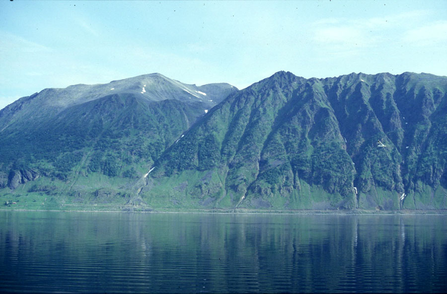 Bergansicht vom Fjord aus mit Spiegelung im Meer