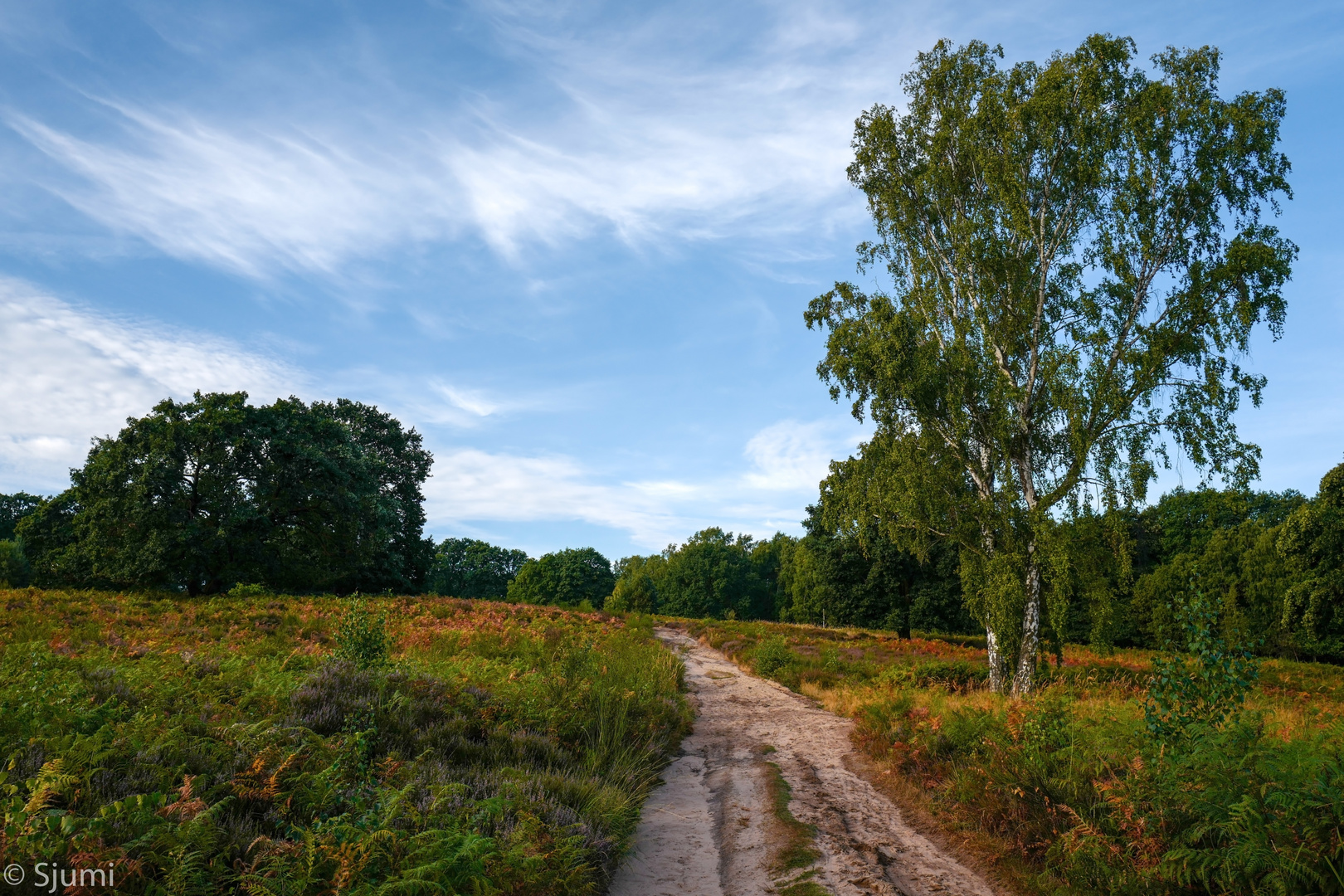 Bergauf..... Foto & Bild | landschaft, heide, natur Bilder auf ...