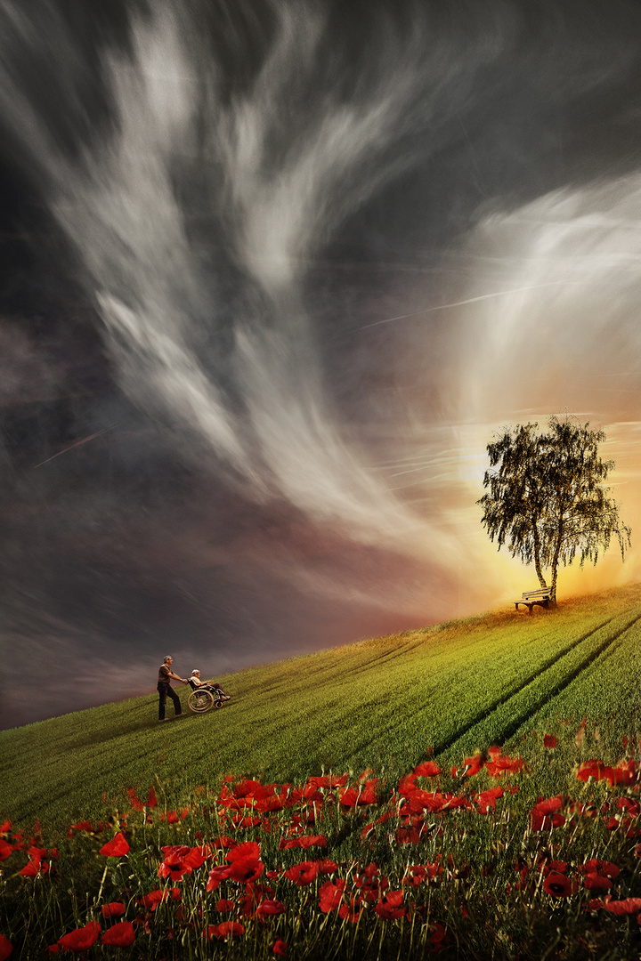 bergauf Foto & Bild | fotomontage, composing , baum Bilder auf ...