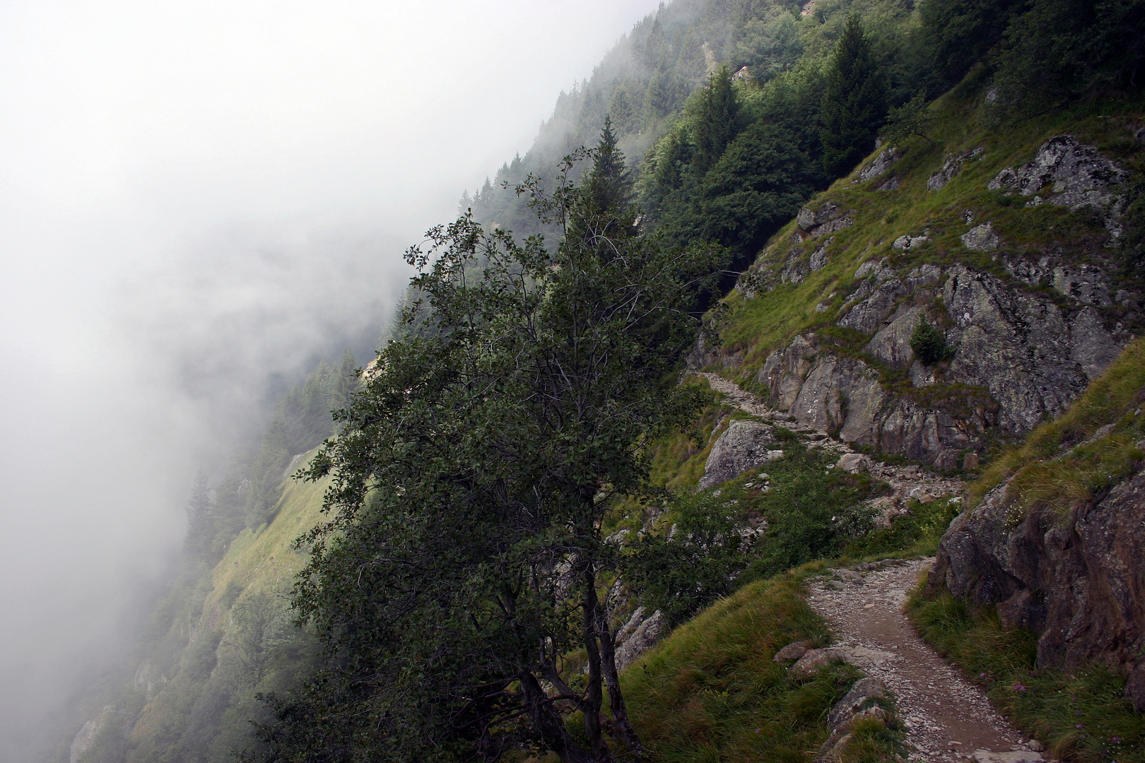 Bergauf in den Nebel..........