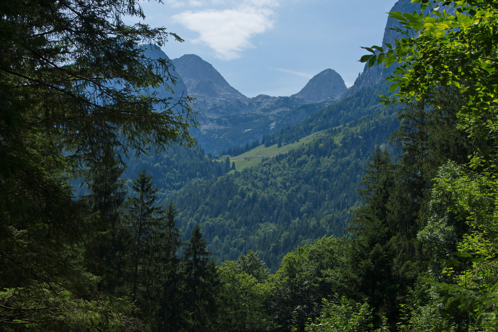 Bergaussicht am Hintersee