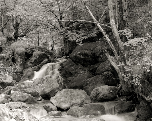 Bergbach Brühltobel (Säntisgebiet Schweiz)