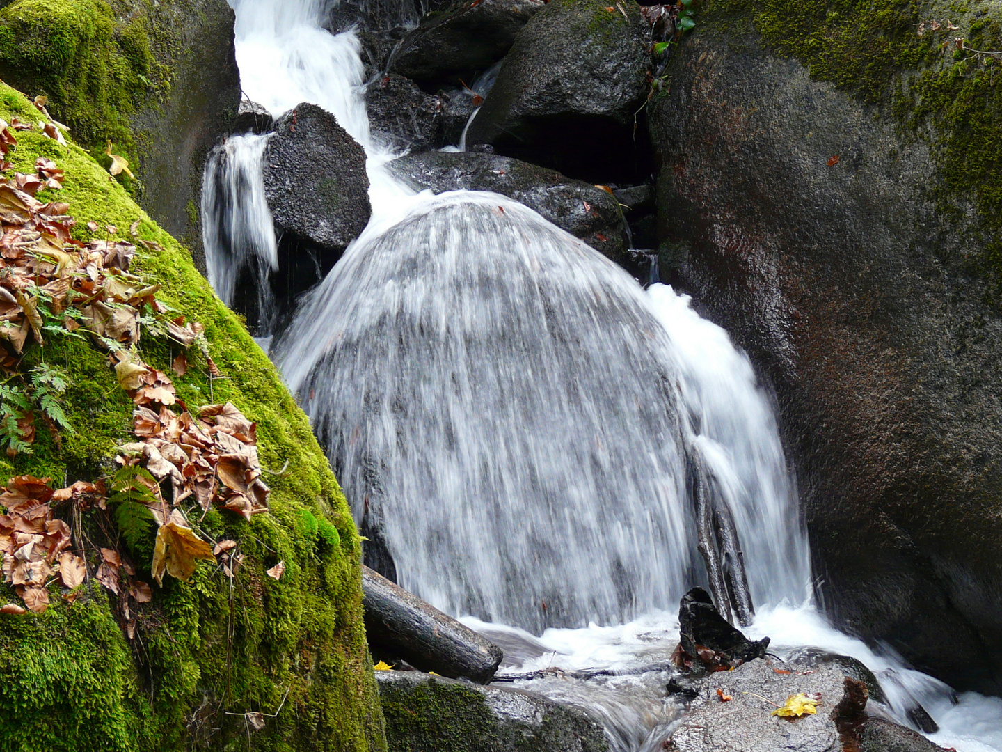 Bergbach Bühlertal