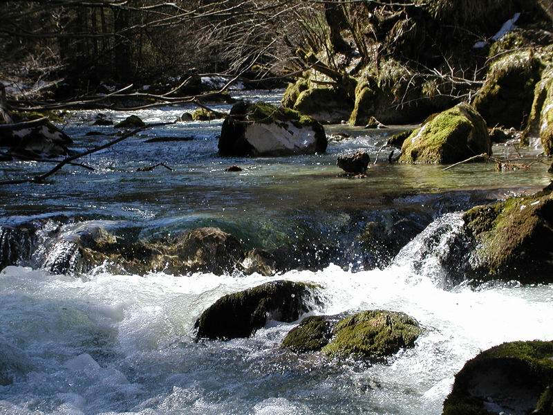 Bergbach im Frühling