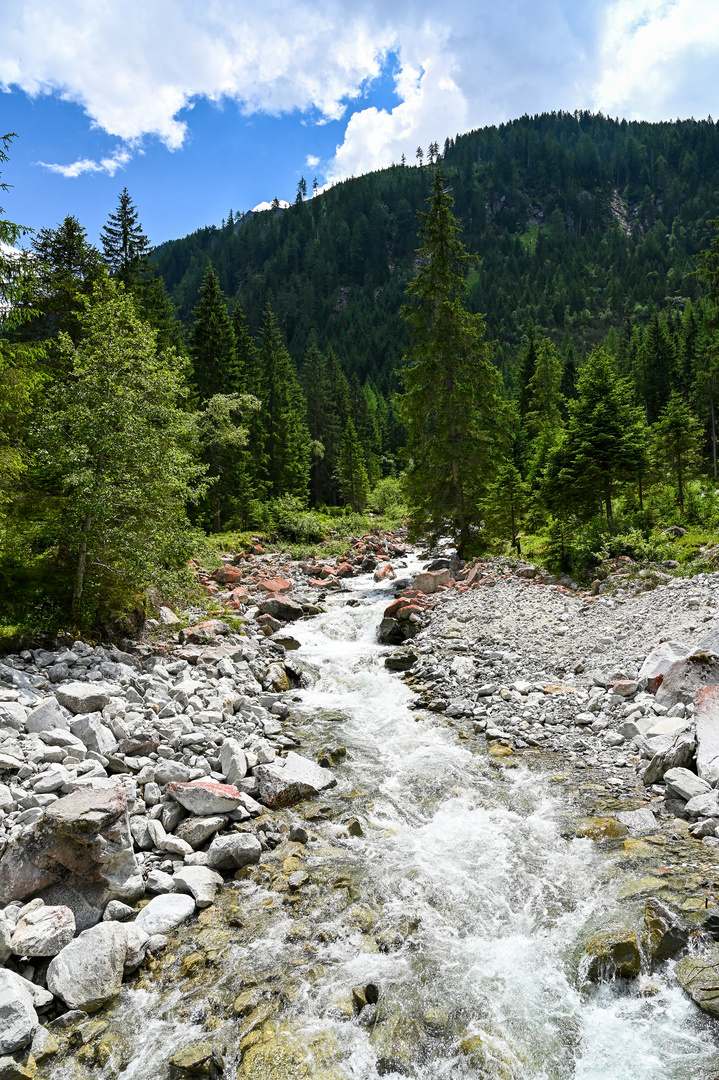 Bergbach im Großarltal 01