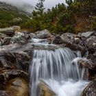 Bergbach in der Hohen Tatra