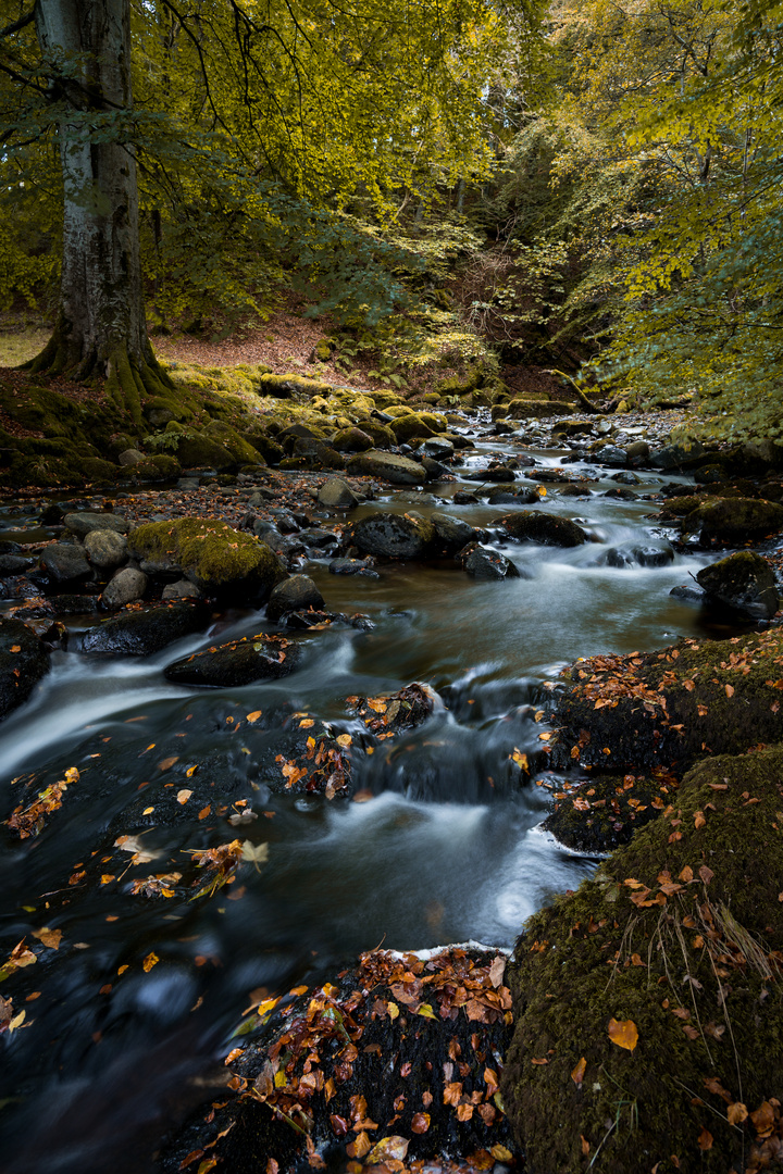 Bergbach in Schottland