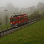 Bergbahn Rheineck-Walzenhausen (3)