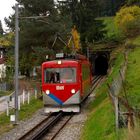 Bergbahn Rheineck-Walzenhausen (5)