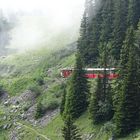 Bergbahn Schynige Platte