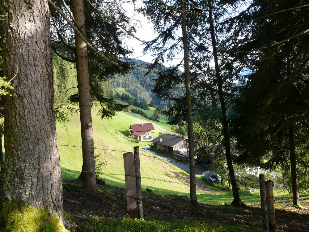 Bergbauer am Buchberg / Hochgründegg