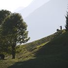 Bergbauer in Tirol