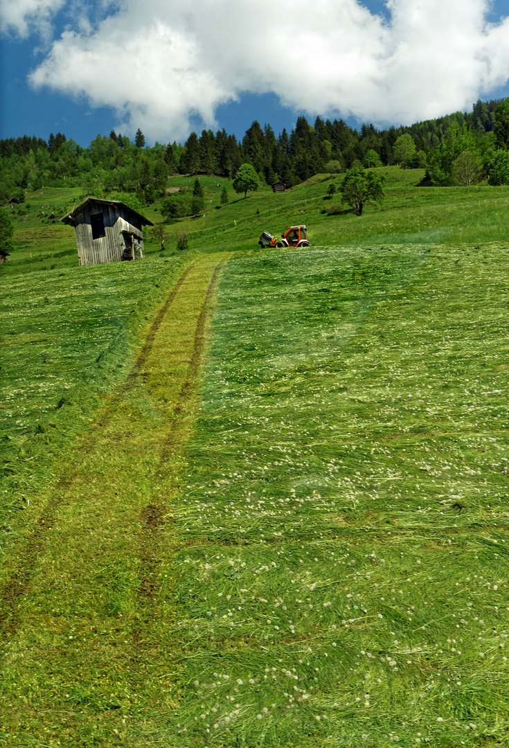 Bergbauernarbeit am Steilhang