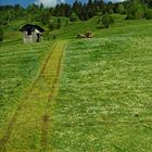 Bergbauernarbeit am Steilhang