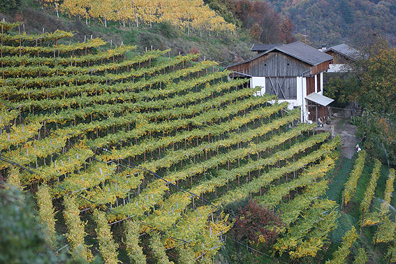 Bergbauernhof bei Feldthurns